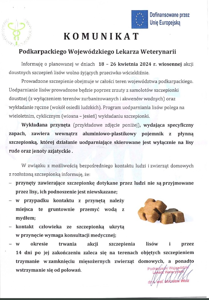 WIOSENNA AKCJA SZCZEPIENIA LISÓW